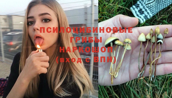прущий лед Аркадак