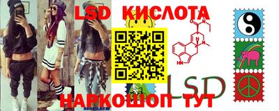 гашик Кунгур