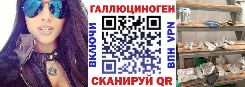 дарк нет формула hydra Изобильный Псилоцибиновые грибы Cubensis